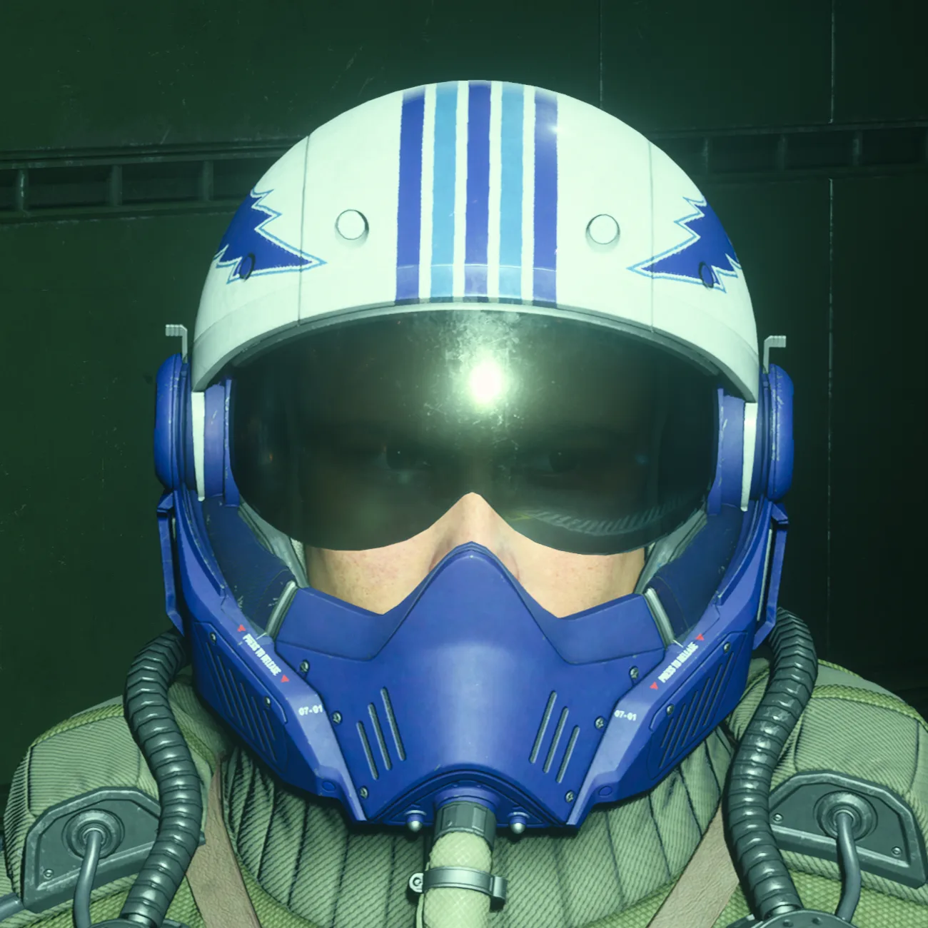 Tailwind Flight Helmet Frostshock